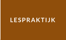 LESPRAKTIJK