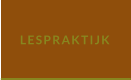 LESPRAKTIJK